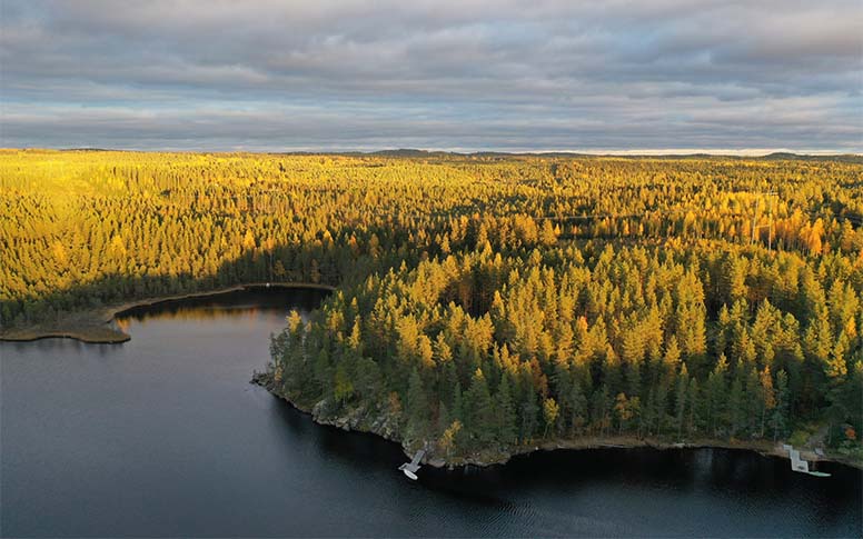 Minulla on metsää Lapissa – millaisen vähennyksen saan matkoistani metsäpalstalle?