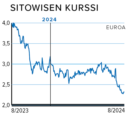 Rahasivut_kurssi_SITOWISE.png